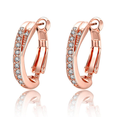 Duo Intertwined Twisted Earrings Made with Swarovski Elements, Earring, ALILY , ALILY   jewelryjewelry deals, swarovski crystal jewelry, groupon jewelry,, jewelry for mom, 