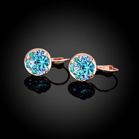 Blue Periwrinkle Swarovski Leverback Earrings in 14K Rose Gold, Earring, ALILY , ALILY   jewelryjewelry deals, swarovski crystal jewelry, groupon jewelry,, jewelry for mom, 