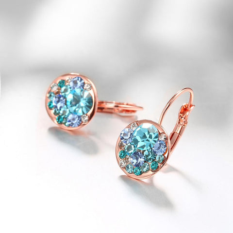 Blue Periwrinkle Swarovski Leverback Earrings in 14K Rose Gold, Earring, ALILY , ALILY   jewelryjewelry deals, swarovski crystal jewelry, groupon jewelry,, jewelry for mom, 
