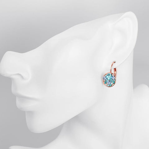 Blue Periwrinkle Swarovski Leverback Earrings in 14K Rose Gold, Earring, ALILY , ALILY   jewelryjewelry deals, swarovski crystal jewelry, groupon jewelry,, jewelry for mom, 