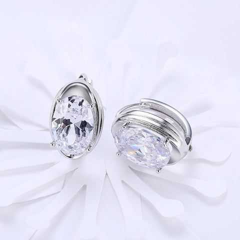 Circular Mid Swarovski Elements Earrings in 18K White Gold, Earring, ALILY , ALILY   jewelryjewelry deals, swarovski crystal jewelry, groupon jewelry,, jewelry for mom, 
